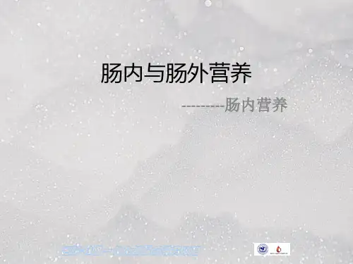 肠内营养pptppt课件