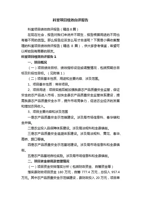 科室项目绩效自评报告（精选8篇）