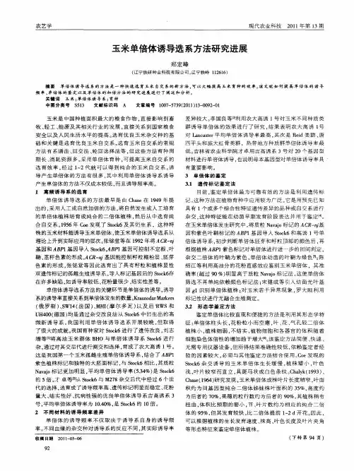玉米单倍体诱导选系方法研究进展