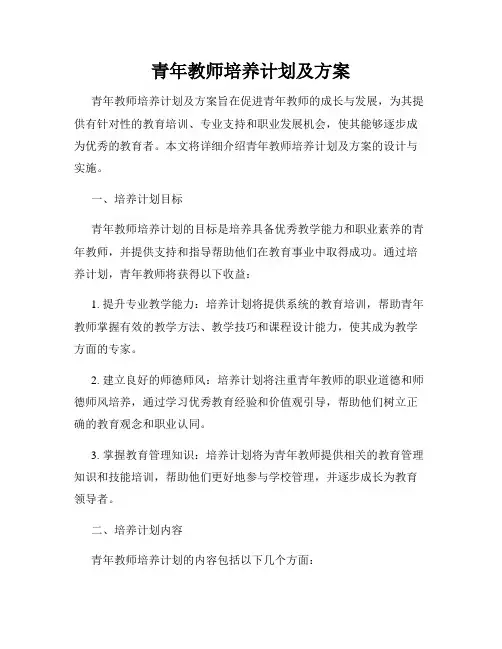 青年教师培养计划及方案2