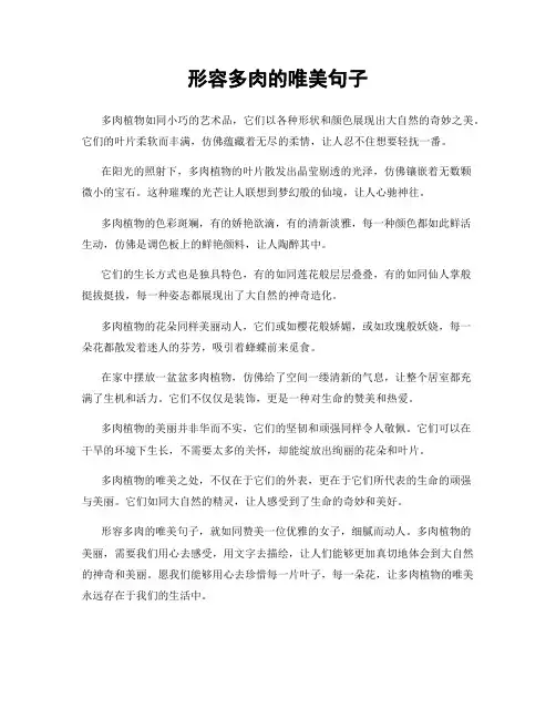 形容多肉的唯美句子