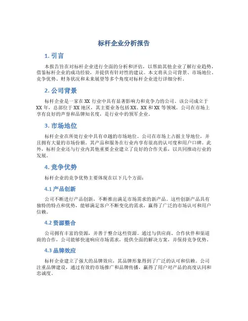 标杆企业分析报告