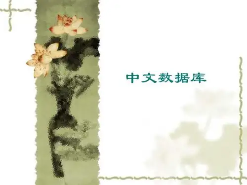 中文数据库