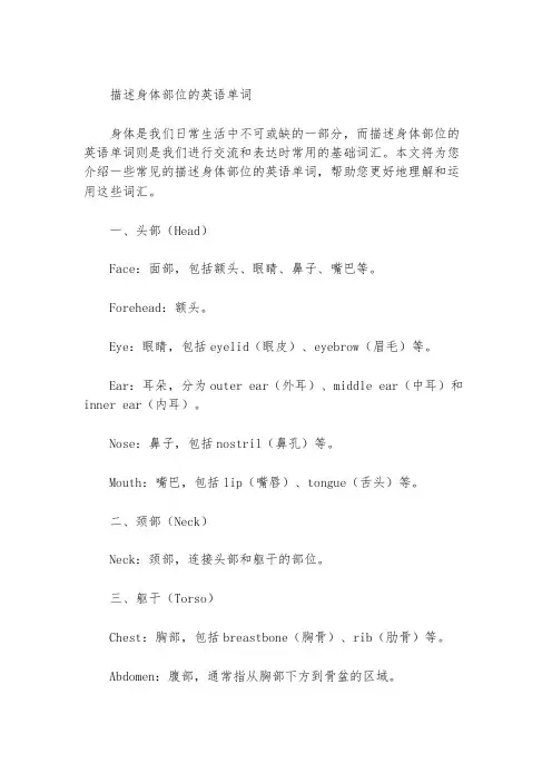 描述身体部位的英语单词