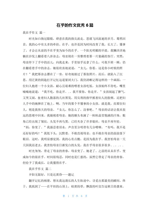 在乎的作文优秀6篇
