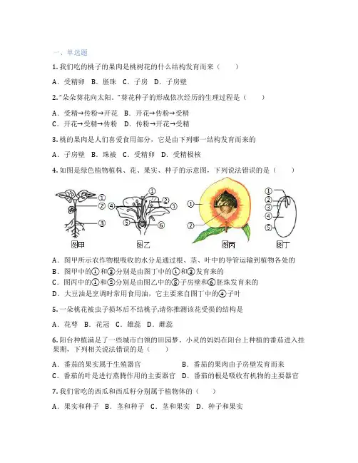 北师大版生物 七年级上册 第7章 绿色植物与生物圈 课后练习题