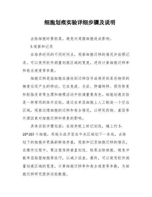 细胞划痕实验详细步骤及说明