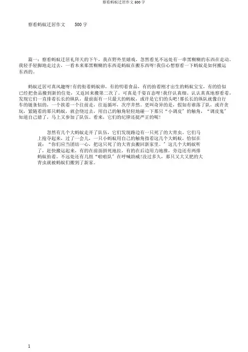 观察蚂蚁搬家作文500字
