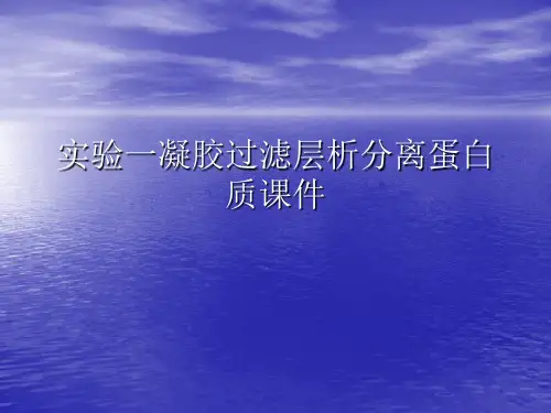 实验一凝胶过滤层析分离蛋白质PPT讲稿