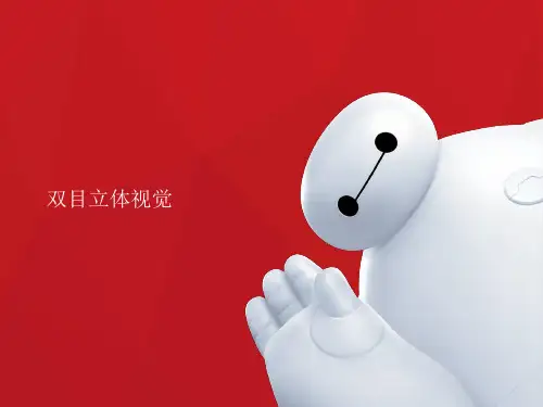 双目立体视觉课件PPT