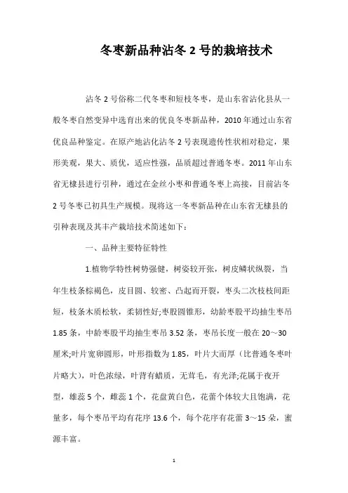 冬枣新品种沾冬2号的栽培技术