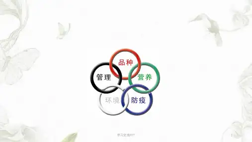 蛋鸡常见疾病课件