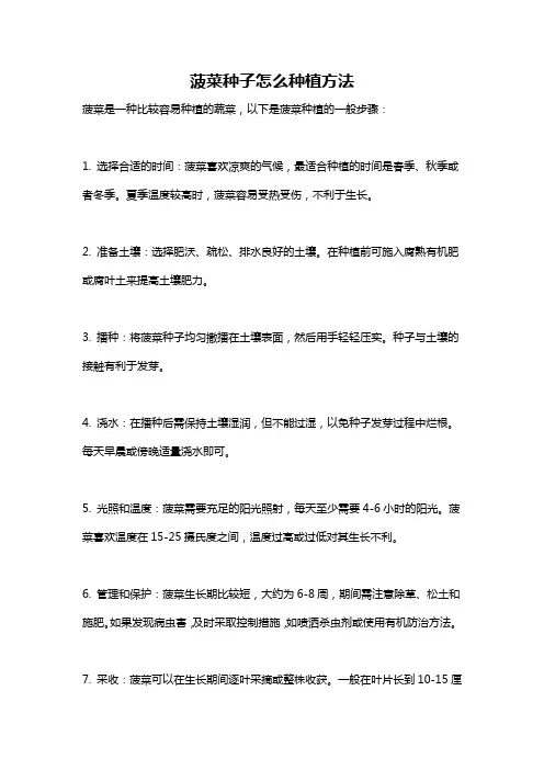 菠菜种子怎么种植方法
