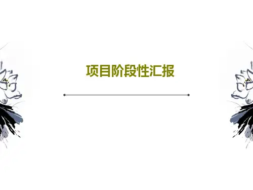 项目阶段性汇报PPT共31页