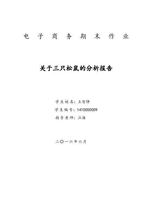 “三只松鼠”分析报告文案