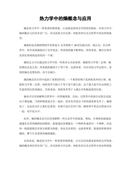 热力学中的熵概念与应用