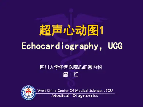 超声心动图-正常_ppt