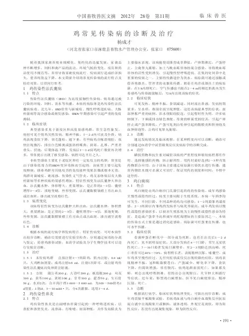 鸡常见传染病的诊断及治疗