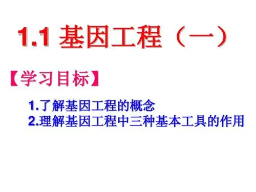 基因工程1