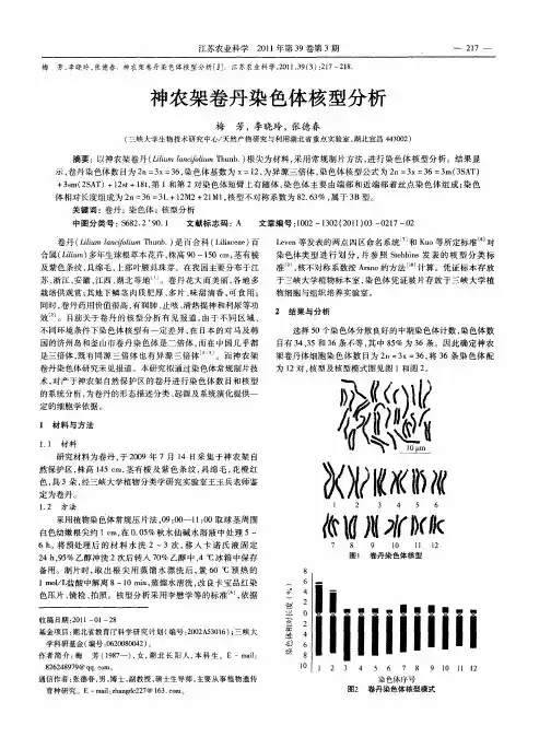神农架卷丹染色体核型分析