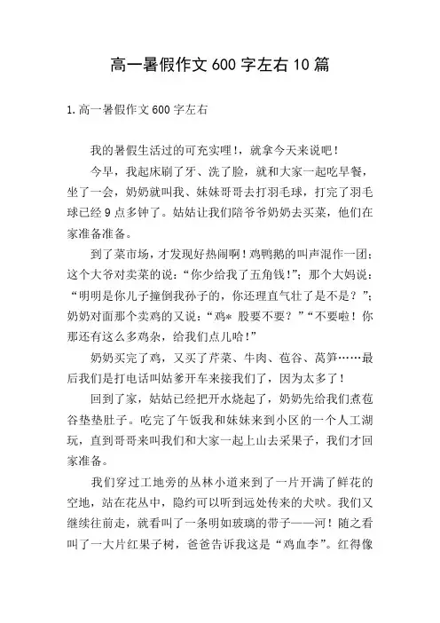 高一暑假作文600字左右10篇