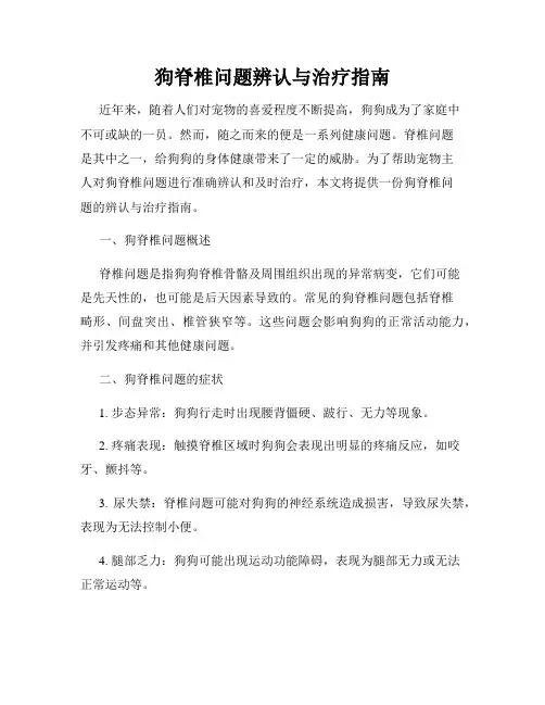 狗脊椎问题辨认与治疗指南