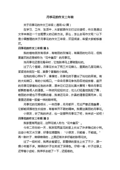 关于月季花的作文三年级（通用62篇）