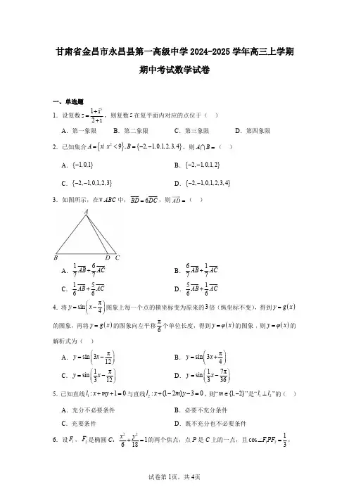 甘肃省金昌市永昌县第一高级中学2024-2025学年高三上学期期中考试数学试卷