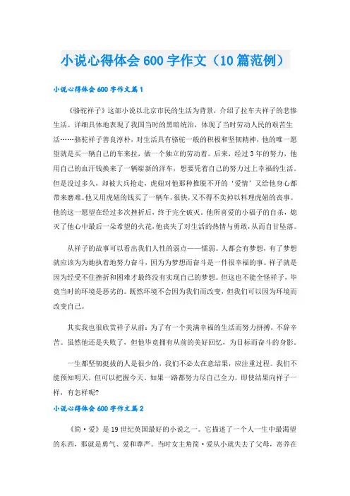 小说心得体会600字作文(10篇范例).doc