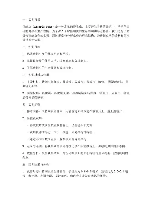 显微镜猪蛔虫卵实训报告