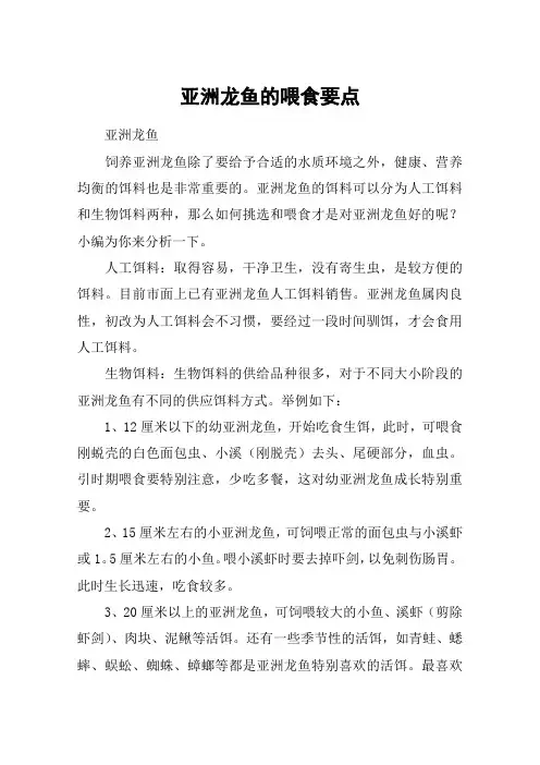 亚洲龙鱼的喂食要点