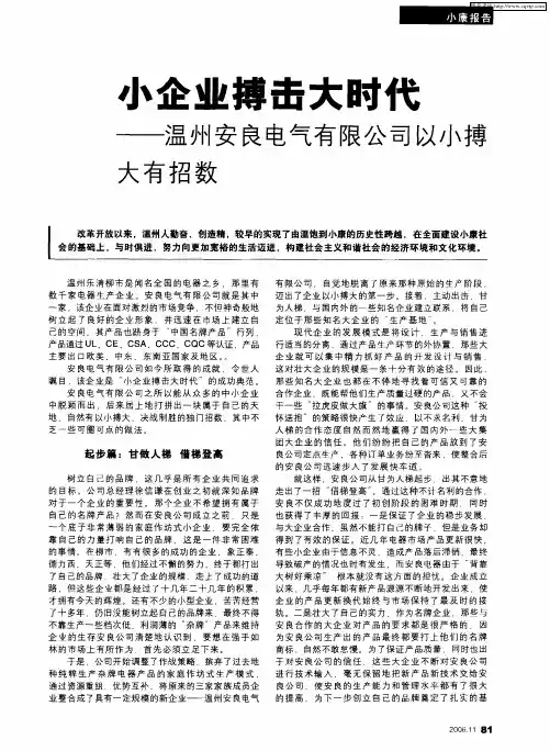 小企业搏击大时代——温州安良电气有限公司以小搏大有招数