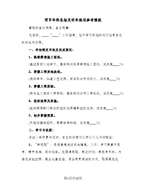 项目年终总结及明年规划参考模板（四篇）
