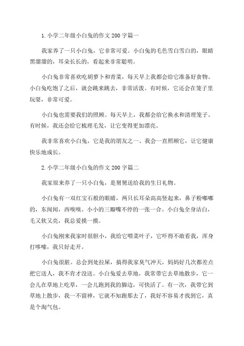 小学二年级小白兔的作文200字