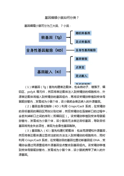 基因编辑小鼠如何分类？