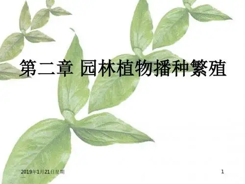 13第二章-园林植物播种育苗