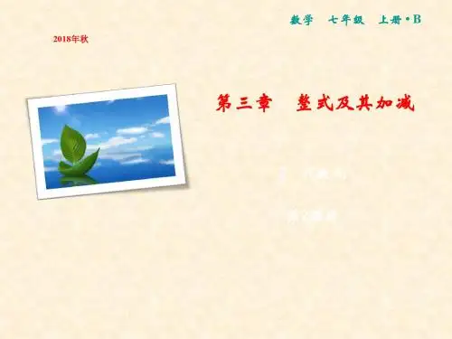 七年级数学上册 第3章 整式及其加减 2 代数式(第2课时)课件 (新版)北师大版