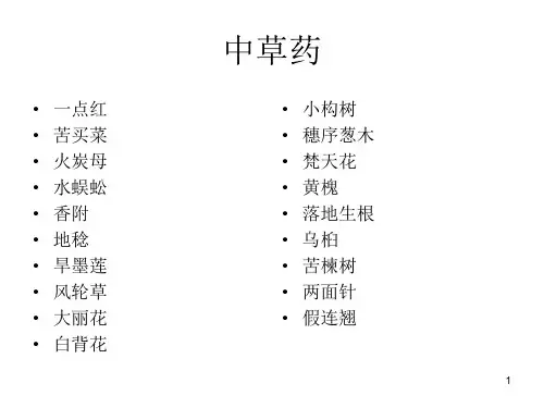 户外部分中草药图谱