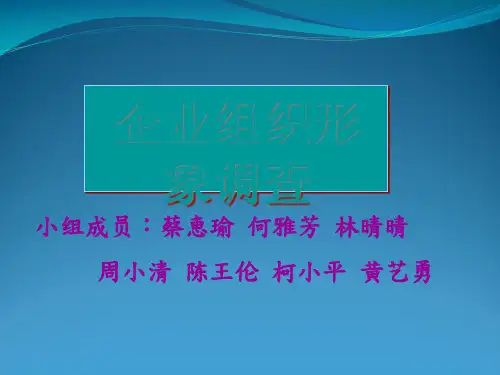 企业组织形象调查报告