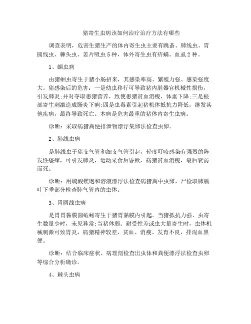 猪寄生虫病该如何治疗治疗方法有哪些