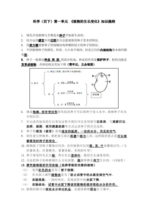 四年级科学下第一单元《植物的生长变化》知识提纲