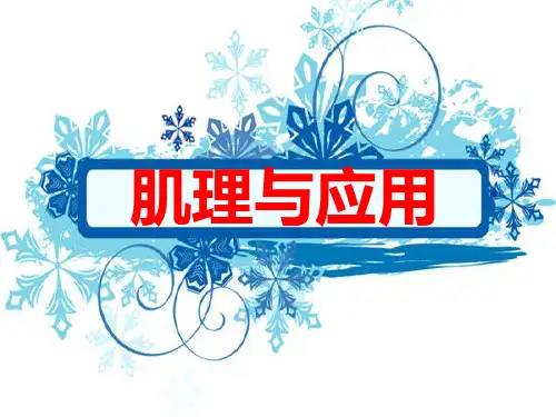 《肌理与应用》课件