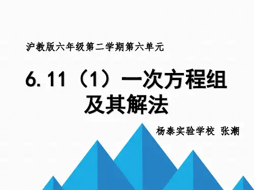 6.11一次方程组的应用(1)沪教版ppt