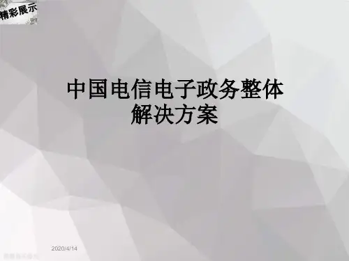 中国电信电子政务整体解决方案