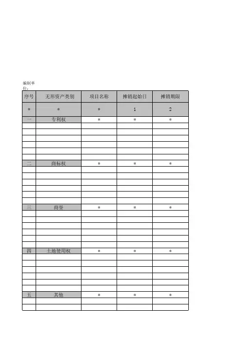 无形资产及减值准备清查明细表模板范文