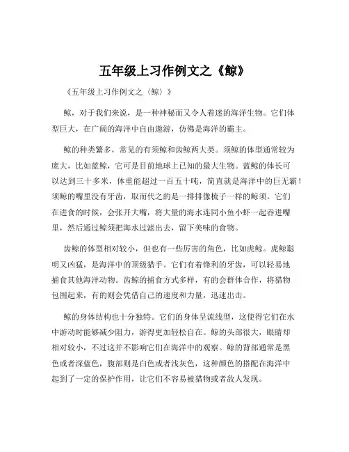 五年级上习作例文之《鲸》