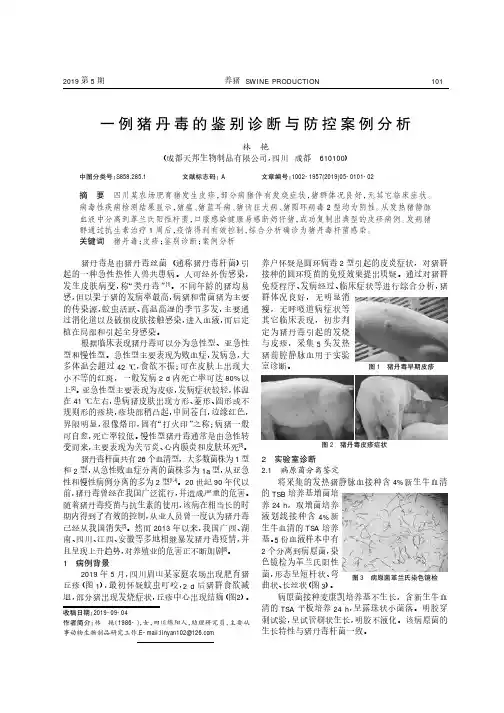 一例猪丹毒的鉴别诊断与防控案例分析