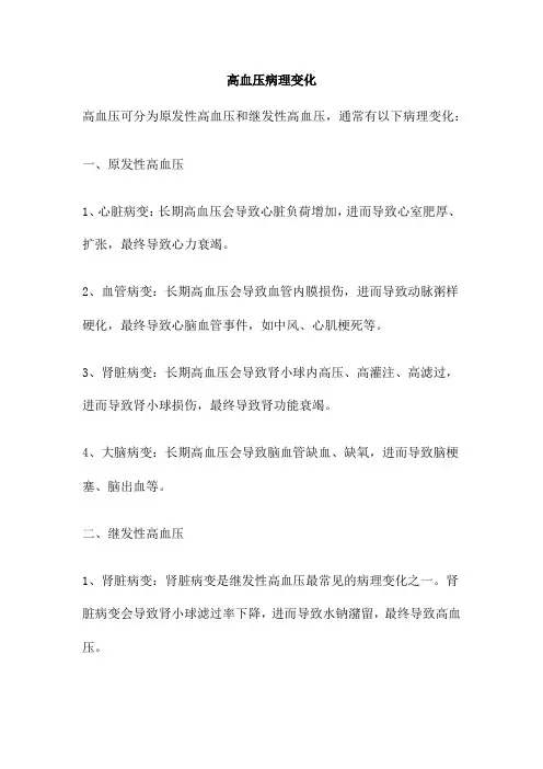 高血压病理变化
