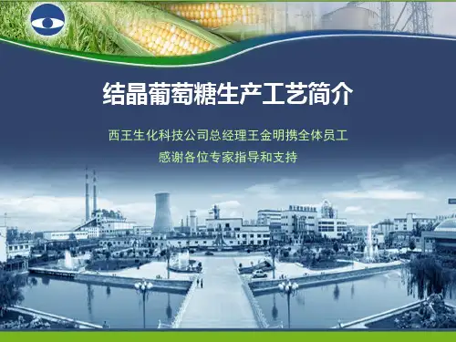 结晶葡萄糖生产工艺简介