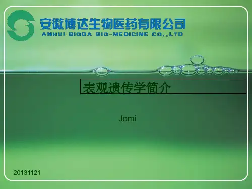 表观遗传学简介ppt课件